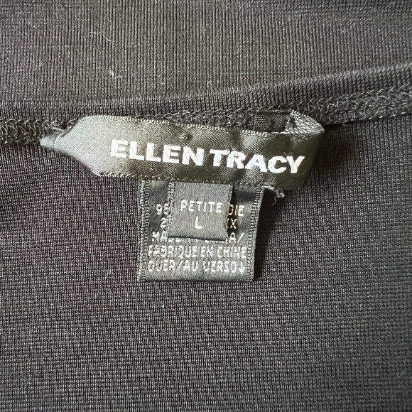ELLEN TRACY SS TEE SHIRT LG PETITE SILK ELEVATED ESSENTIAL MINIMALIST TIMELESS - Picture 10 of 11